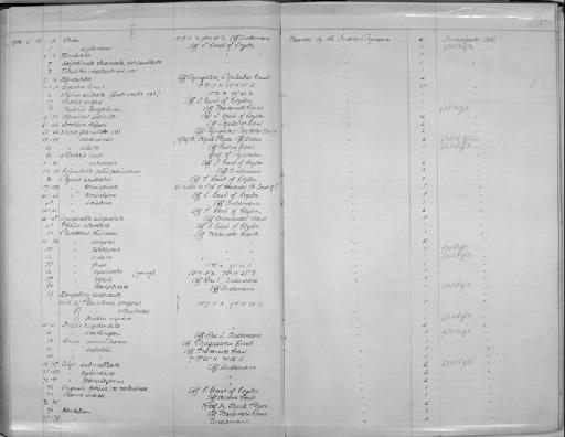 Pleurotoma symbiotes Wood-Mason & Alcock, 1891 - Zoology Accessions Register: Mollusca: 1900 - 1905: page 170