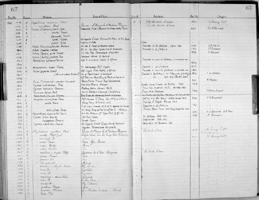 Tortulosa (Eucataulus) nevilli (Sykes, 1898) - Zoology Accessions Register: Mollusca: 1956 - 1978: page 67