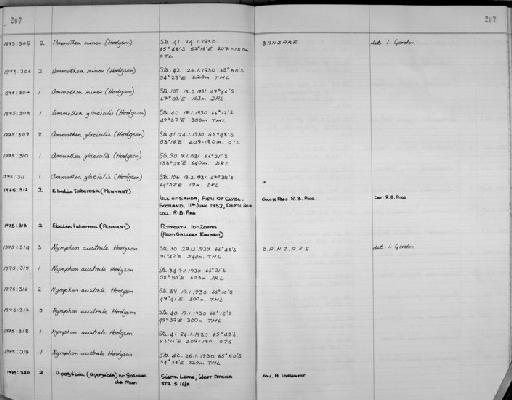 Nymphon australe Hodgson, 1902 - Zoology Accessions Register: Crustacea: 1969 - 1976: page 207