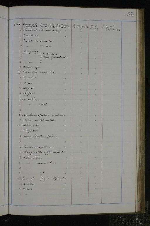 Notidanus microdon infraphylum Gnathostomata Agassiz, 1843 - NHM-UK_P_DF118_02_02_0379