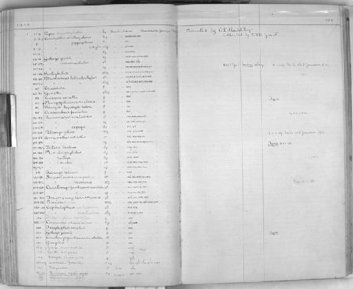 Tragelaphus scriptus Pallas, 1766 - Zoology Accessions Register: Mammals: 1904 - 1910: page 138