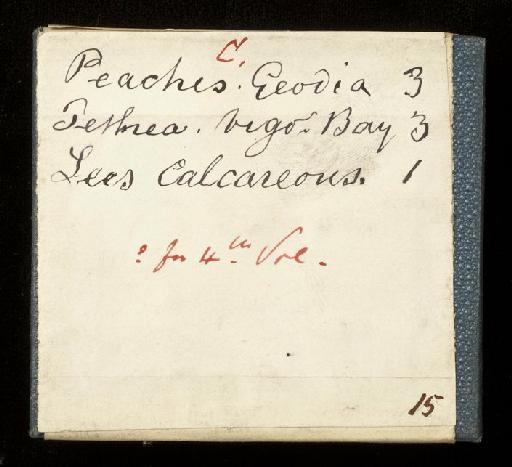 Porifera Grant, 1836 - Bwk Peach calc vigo box