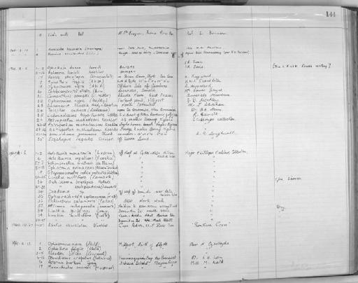 Luidia ludwigi scotti Bell, 1917 - Zoology Accessions Register: Echinodermata: 1935 - 1984: page 144