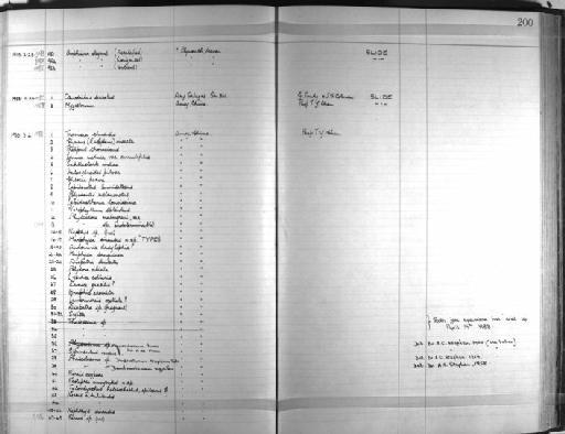 Loimia medusa annulifilis - Zoology Accessions Register: Annelida & Echinoderms: 1924 - 1936: page 200