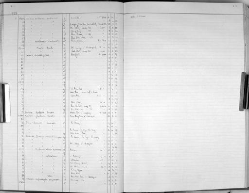 Corvus macrorhynchos colonorum - Zoology Accessions Register: Aves (Skins): 1955 -1960: page 104