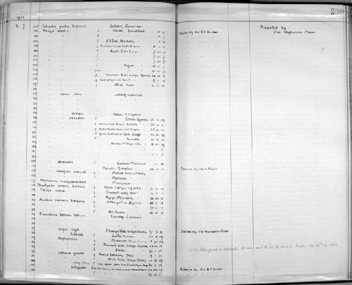 Francolinus coqui thikae C. H. B. Grant and  Praed, 1934 - Zoology Accessions Register: Aves (Skins): 1921 - 1923: page 238
