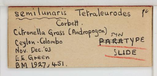 Crescentaleyrodes semilunaris Corbett, 1926 - 013500272_additional