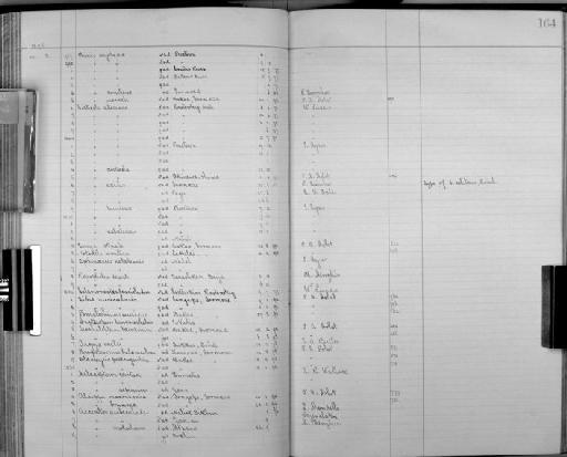 Calamonastes fasciolatus faciolatus - Bird Group Collector's Register: Aves - Seebohm & Hargitt Collection: 1896 - 1898: page 164