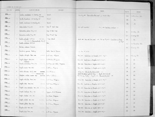 Chiton textilis Gray, 1828 - Zoology Accessions Register: Mollusca: 1962 - 1969: page 67