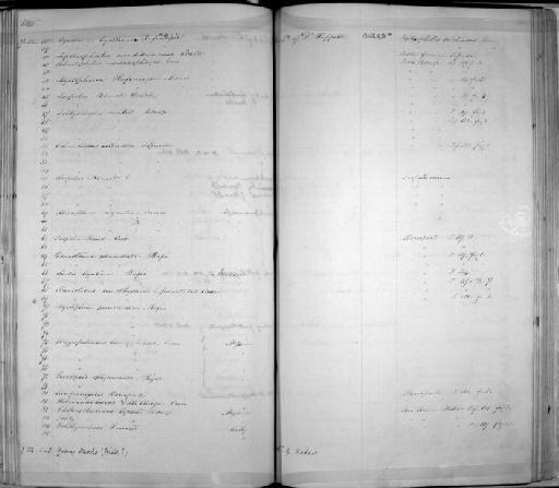 Ichthyococcus powesii - Zoology Accessions Register: Mammals: 1844 - 1846: page 144