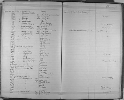 Eunice jeffreysi McIntosh, 1903 - Zoology Accessions Register: Annelida & Echinoderms: 1884 - 1923: page 259