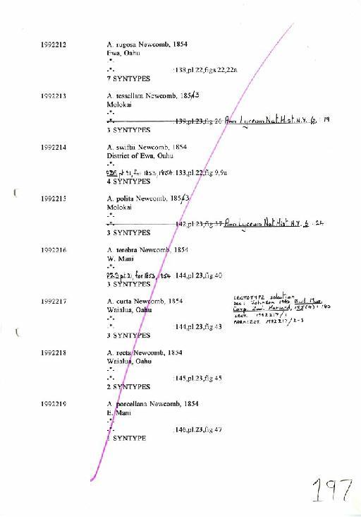 Achatinella rugosa Newcomb, 1854 - Zoology Accessions Register: Mollusca: 1986 - 1993: page 197