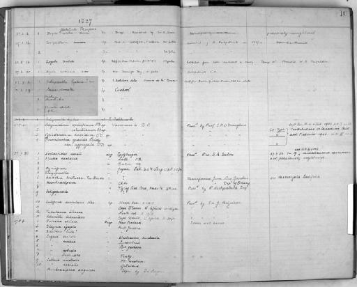 Cylindroecium horridum O'Donoghue - Zoology Accessions Register: Bryozoa: 1922 - 1949: page 16