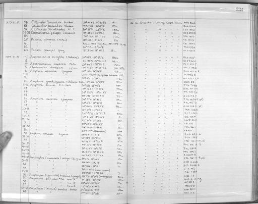Patiria formosa (Mortensen, 1933) - Zoology Accessions Register: Echinodermata: 1935 - 1984: page 234