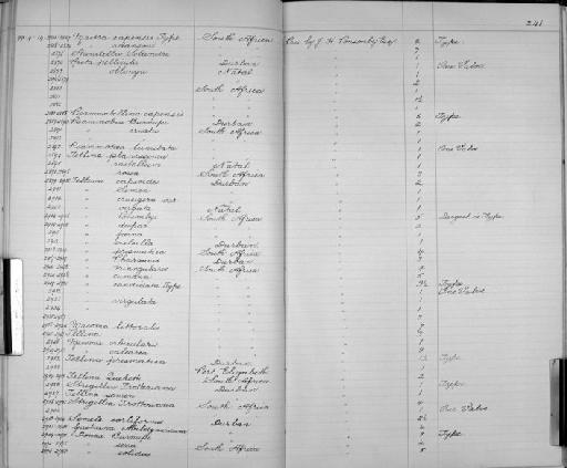 Tellina prismatica subterclass Euheterodonta G. B. Sowerby III, 1905 - Zoology Accessions Register: Mollusca: 1894 - 1899: page 241