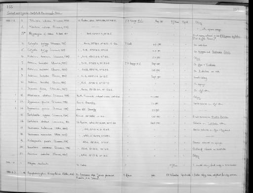 Halecium lankesteri (Bourne, 1890) - Zoology Accessions Register: Coelenterata: 1981 - 1992: page 155