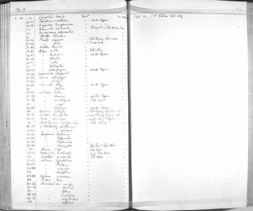 Anisochaetodon kleinii - Zoology Accessions Register: Fishes: 1937 - 1960: page 104