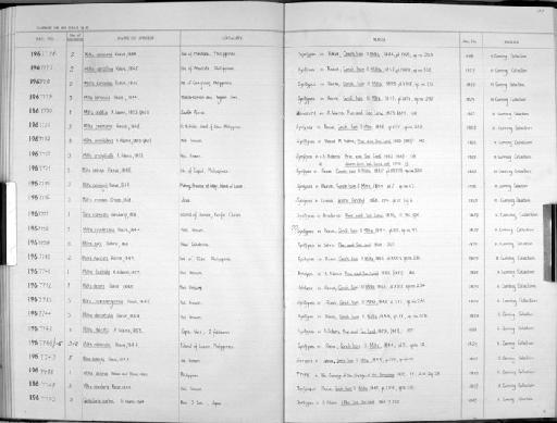 Mitra decora Reeve, 1845 - Zoology Accessions Register: Mollusca: 1962 - 1969: page 197