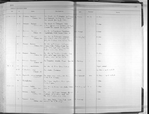 Hemiurus levinseni Odhner, 1905 - Zoology Accessions Register: Platyhelminth: 1981 - 1987: page 120