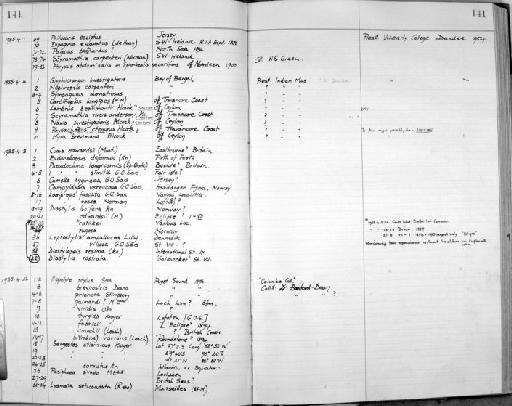 Campylaspis verrucosa Sars, 1866 - Zoology Accessions Register: Crustacea: 1935 - 1962: page 141