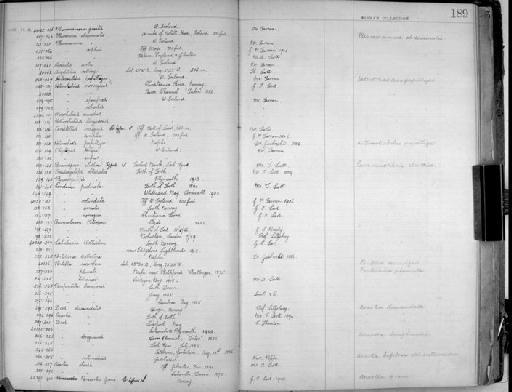 Pontella securifera - Zoology Accessions Register: Crustacea - Norman Collection: 1911: page 189