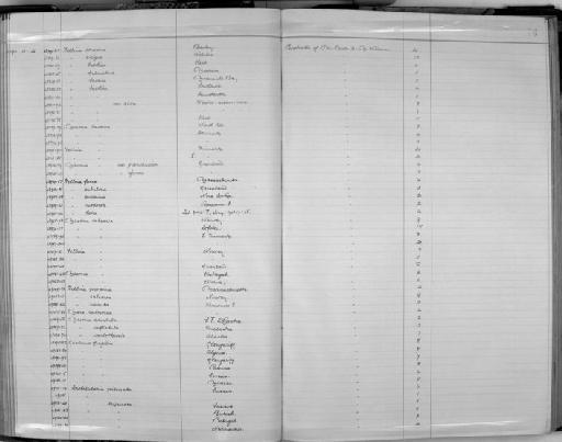 Tellina balthica alba - Zoology Accessions Register: Mollusca: 1911 - 1924: page 76