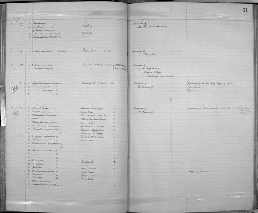 Turdinus kalulongae Sharpe, 1893 - Zoology Accessions Register: Aves (Skins): 1892 -1896: page 71