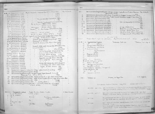 Orthochromis machadoi Poll, 1967 - Zoology Accessions Register: Fishes: 1971 - 1985: page 387