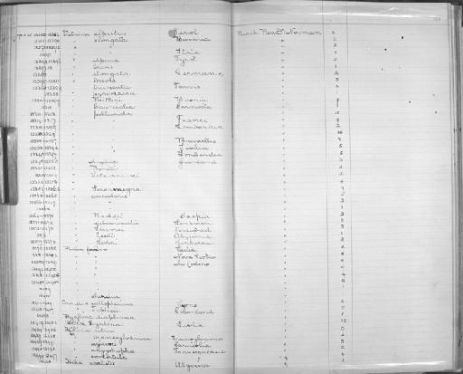 Helix fulva subterclass Tectipleura O. F. Müller, 1774 - Zoology Accessions Register: Mollusca: 1894 - 1899: page 146