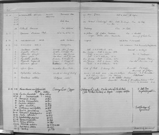 Sparisoma atomarium Poey, 1861 - Zoology Accessions Register: Fishes: 1961 - 1971: page 84