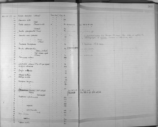 Sabella distinctus - Zoology Accessions Register: Annelida & Echinoderms: 1924 - 1936: page 202