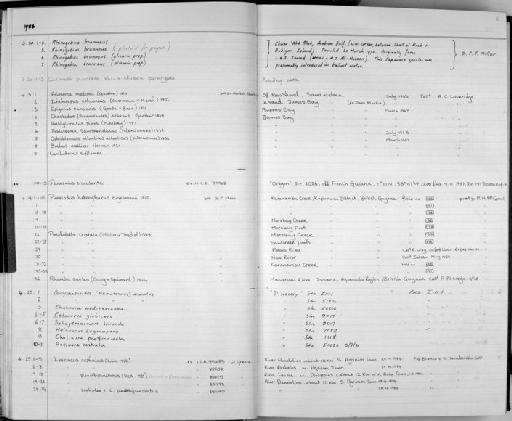 Chalinura mediterranea Giglioli, 1893 - Zoology Accessions Register: Fishes: 1986 - 1994: page 6