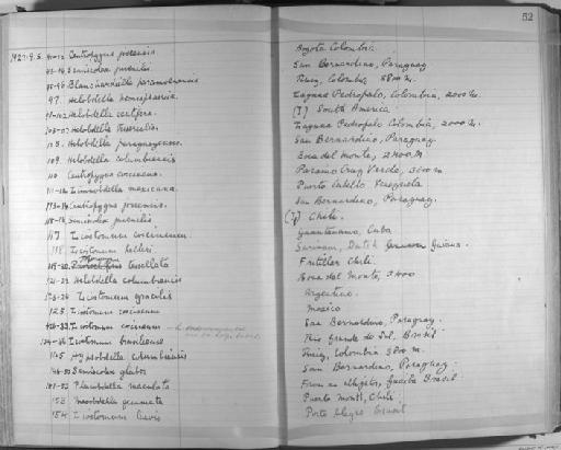 Helobdella columbiensis - Zoology Accessions Register: Annelida & Echinoderms: 1924 - 1936: page 52