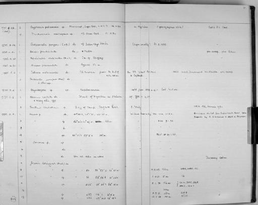 Cryptosula pallasiana (Moll, 1803) - Zoology Accessions Register: Bryozoa: 1971 - 1986: page 51