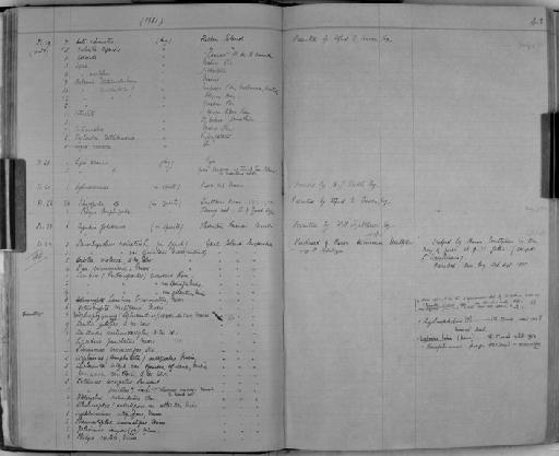 Zoology Accessions Register: Crustacea: 1876 - 1905: page 43