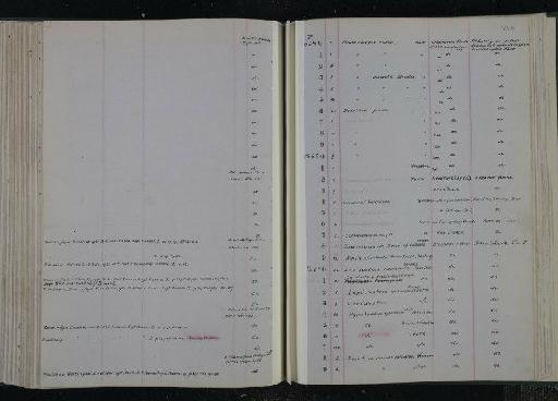 Lamna infraphylum Gnathostomata Cuvier, 1816 - NHM-UK_P_DF118_03_11_0219