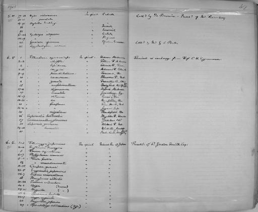 Conger sp - Zoology Accessions Register: Reptiles & Fishes: 1904 - 1925: page 49