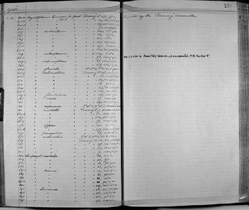 Myctophum macrochir - Zoology Accessions Register: Fishes: 1912 - 1936: page 210