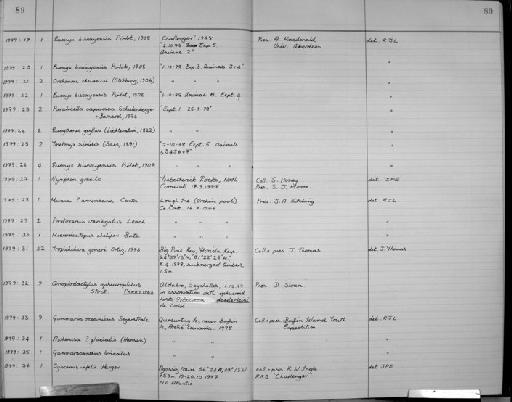 Syscenus infelix Harger, 1880 - Zoology Accessions Register: Crustacea: 1976 - 1984: page 89