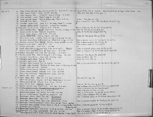 Eulaomedea flexuosa (Hincks) - Zoology Accessions Register: Coelenterata: 1958 - 1964: page 176