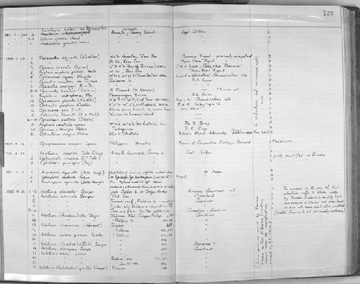 Amphiura constricta Lyman, 1879 - Zoology Accessions Register: Echinodermata: 1935 - 1984: page 120