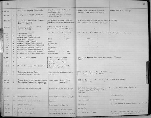 Linuparus somniosus Berry & George RW, 1972 - Zoology Accessions Register: Crustacea: 1969 - 1976: page 37