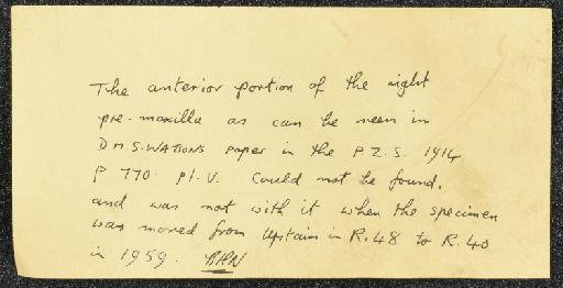 Anteosaurus magnificus Watson, 1921 - NHMUK PV R 3595 - note