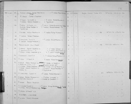 Puellina directa Bishop & Househam, 1987 - Zoology Accessions Register: Bryozoa: 1971 - 1986: page 146