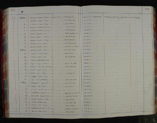 Trochammina diagonis (Carsey) - NHM-UK_P_DF118_04_04_0257