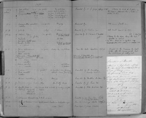 Orchestia parvorder Talitridira epifamily Talitroidae Leach, 1814 - Zoology Accessions Register: Crustacea: 1876 - 1905: page 16