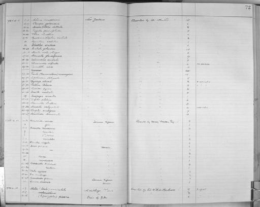 Leucochroa candidissima subterclass Tectipleura (Draparnaud, 1801) - Zoology Accessions Register: Mollusca: 1925 - 1937: page 73