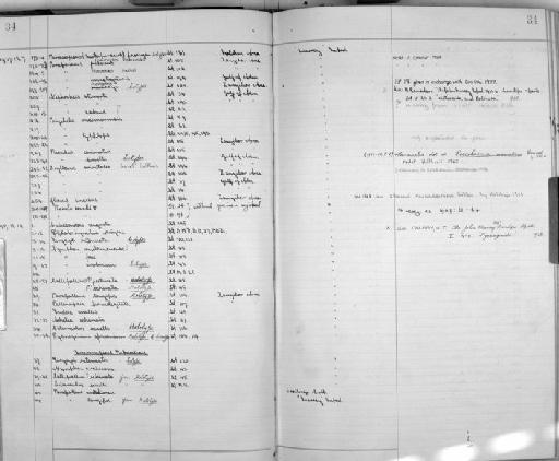 Nymphon arabicum Hodgson, 1908 - Zoology Accessions Register: Crustacea: 1935 - 1962: page 34