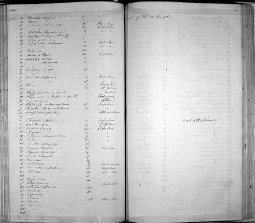 Brama raii - Zoology Accessions Register: Mammals: 1844 - 1846: page 131