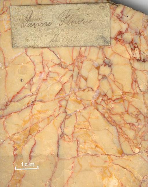 Jaune fleurie marble - e.8350.tif